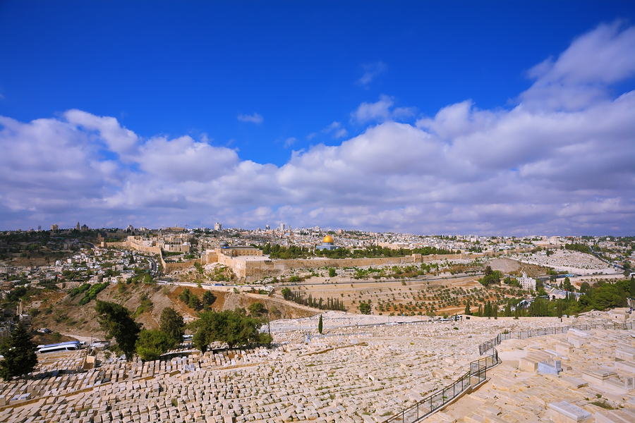 The ancient Jewish cemetery on the Mount of Olives. In the dista The ancient Jewish cemetery on the Mount of Olives. In the dista